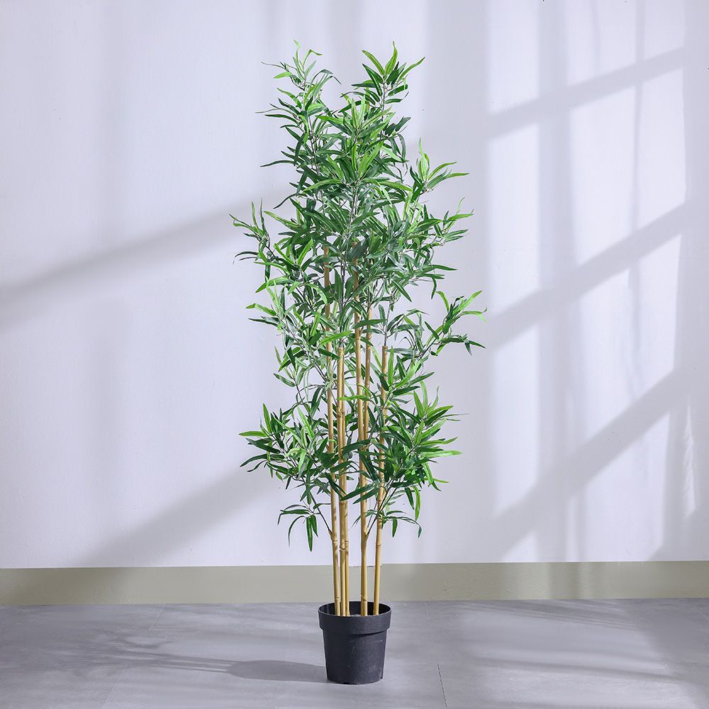 Bamboo Potted Plant