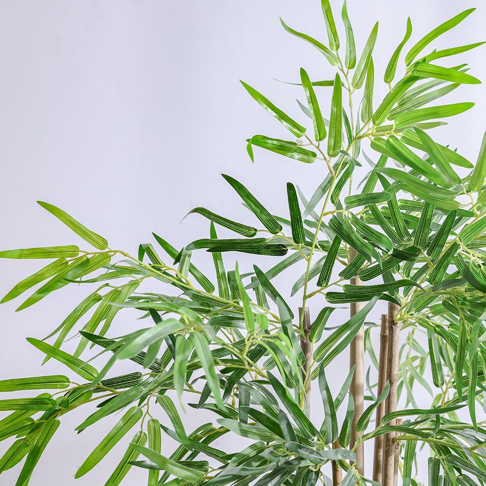 Bamboo Potted Plant