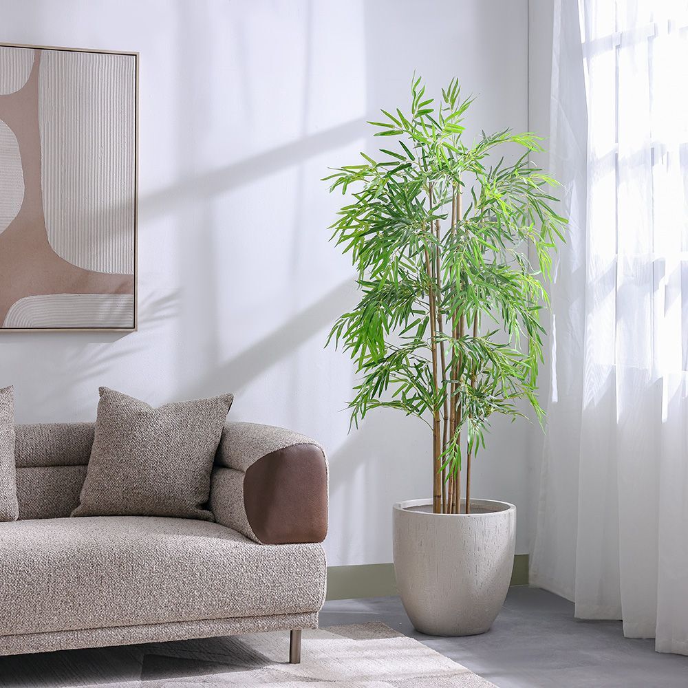 Bamboo Potted Plant
